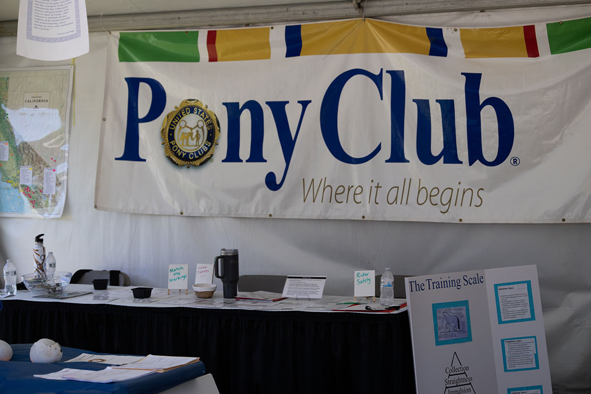 Pony Club banner; Photo by Carolynne Smith
