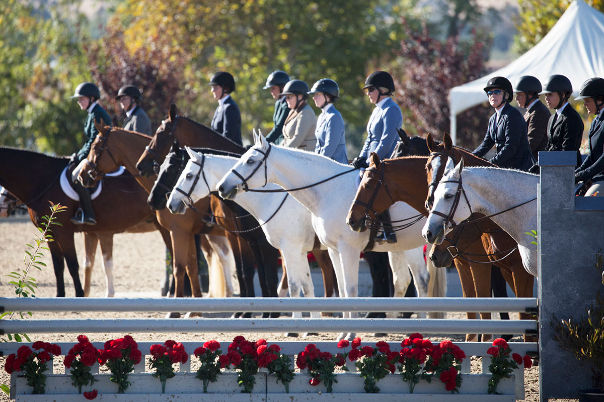 Hunter horses line up in the arena