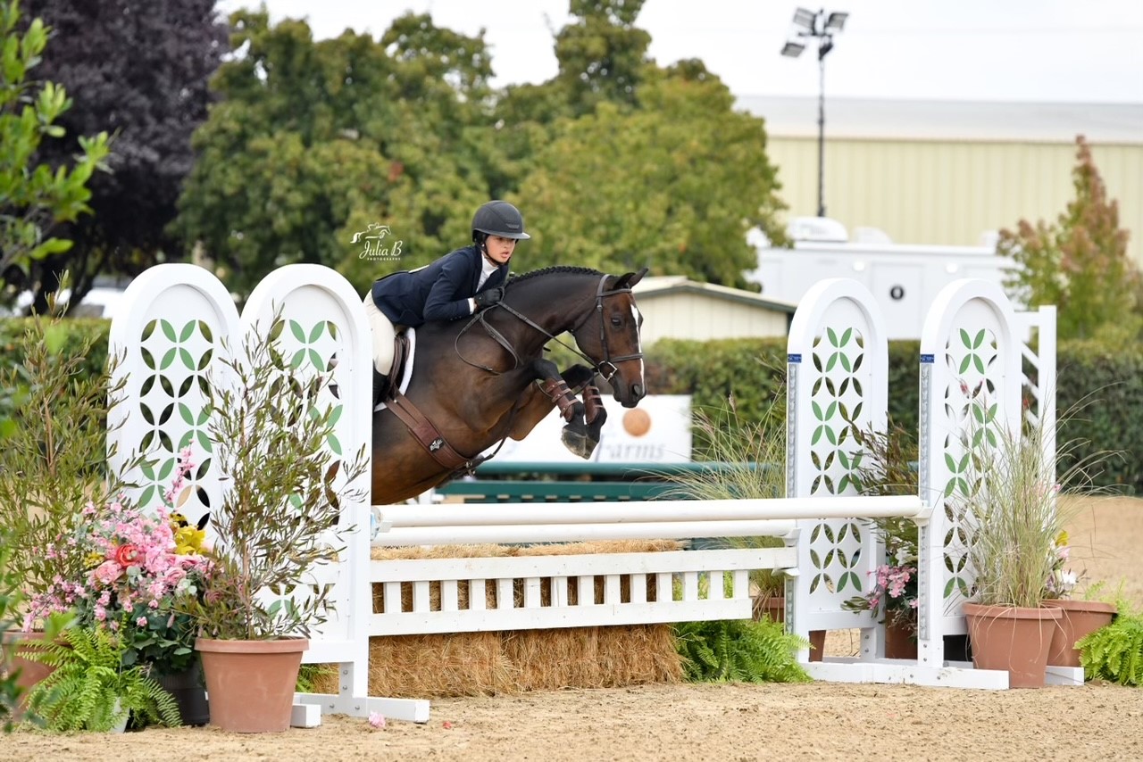 Young hunter rider jumping a course on a dark bay horse; Photo by Julia B Photography