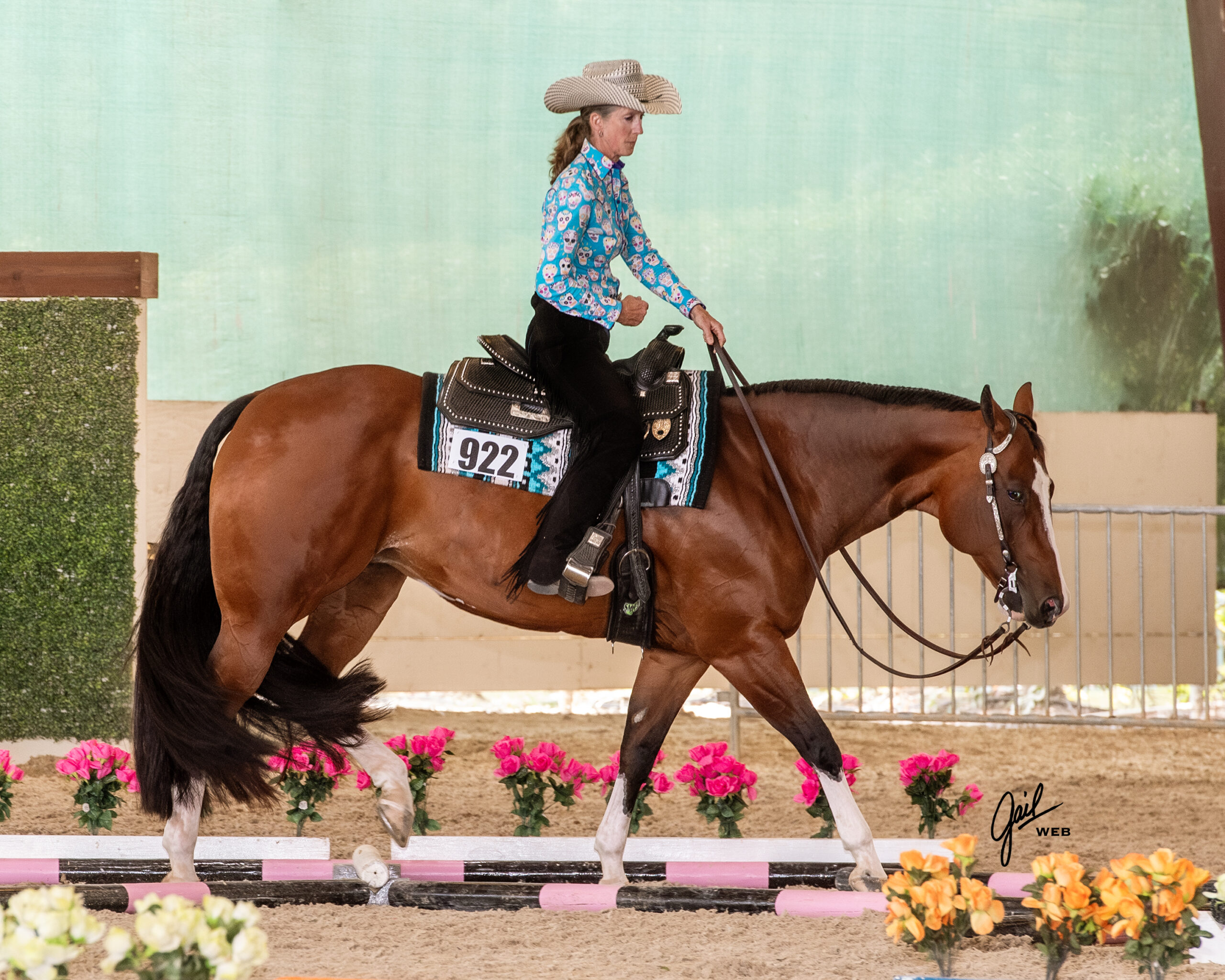 Western rider competes in a trail class on a bay horse; Photo by Gail