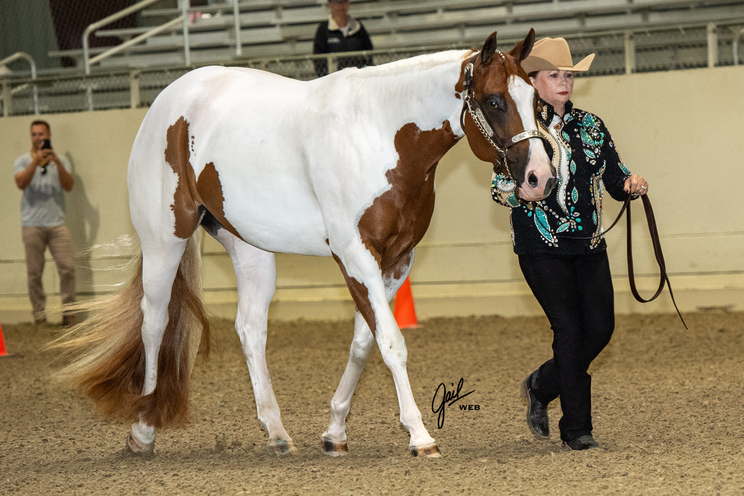 Western horse show competitor with a bay halter horse; Photo by Gail