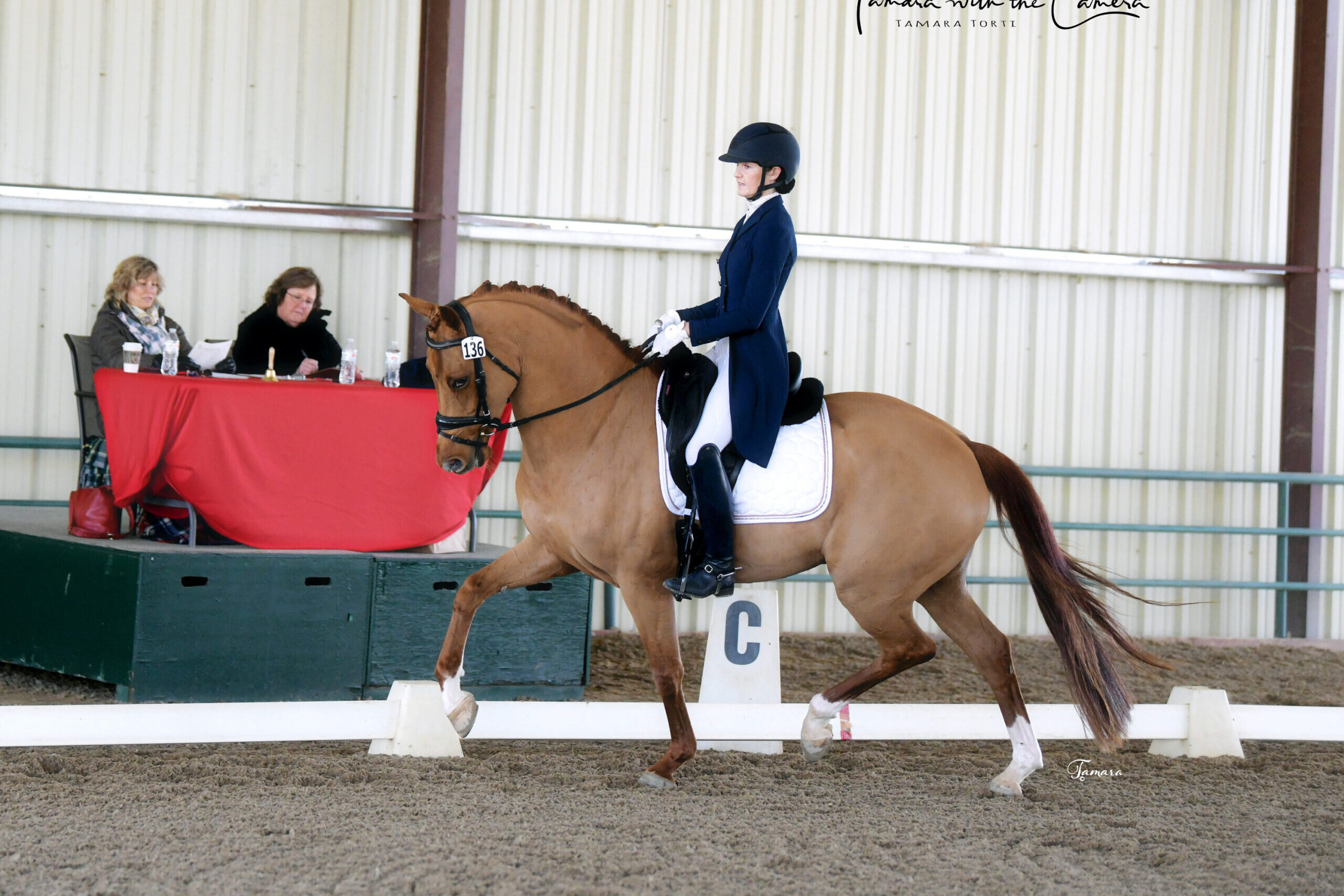 A dressage rider competes on a chestnut horse; Photo by Tamara with the Camera