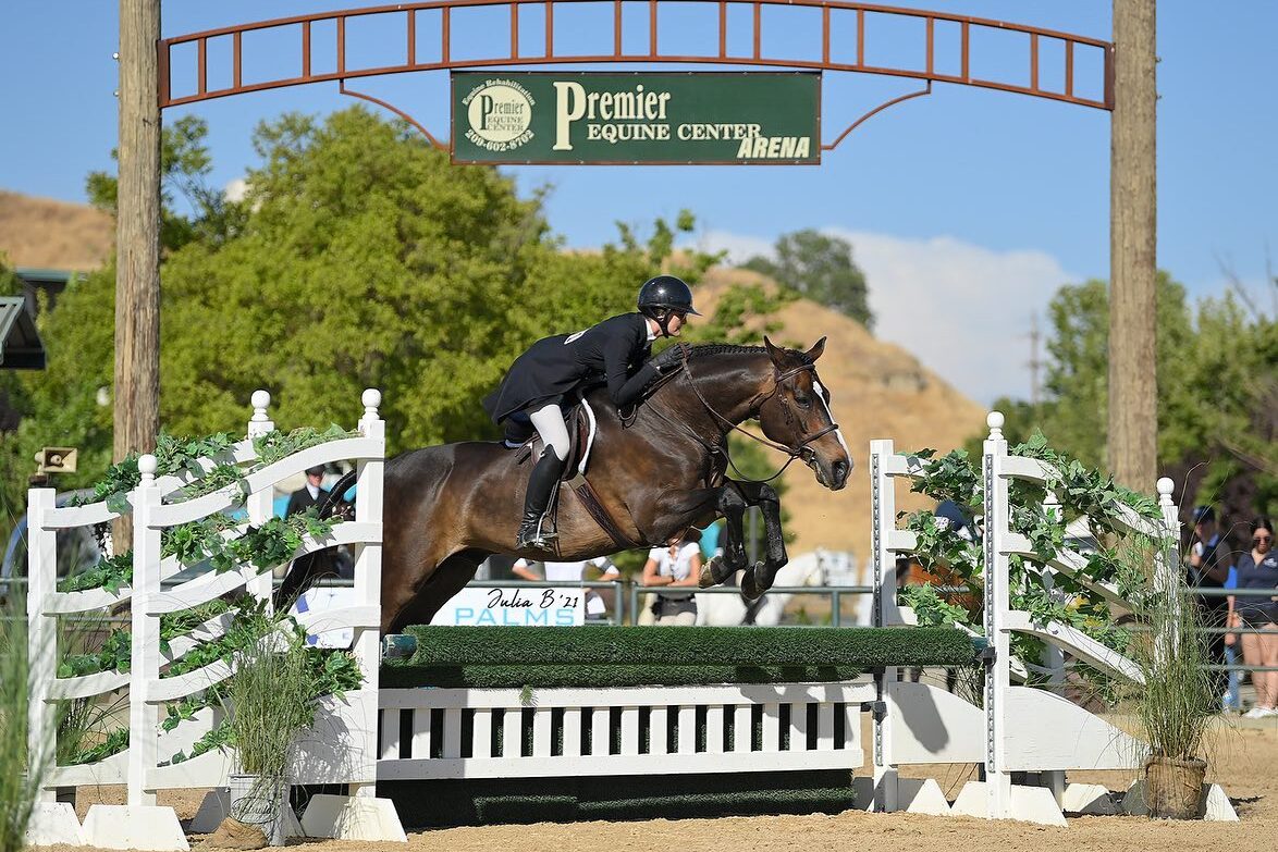 A hunter rider jumps her black bay horse in competition; Photo by Julia B Photography