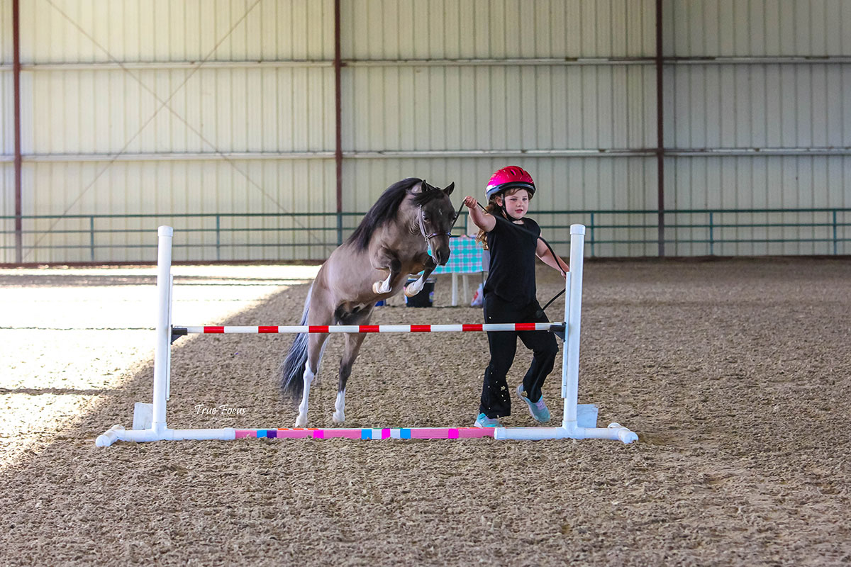 A child guides her miniature pony over a fence; Photo by True Focus Photography