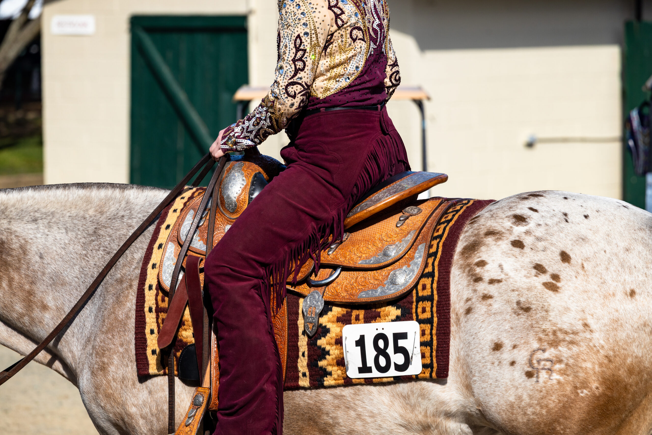 A western rider in dark red fringed chaps aboard an Appaloosa; Photo by Carolynne Smith