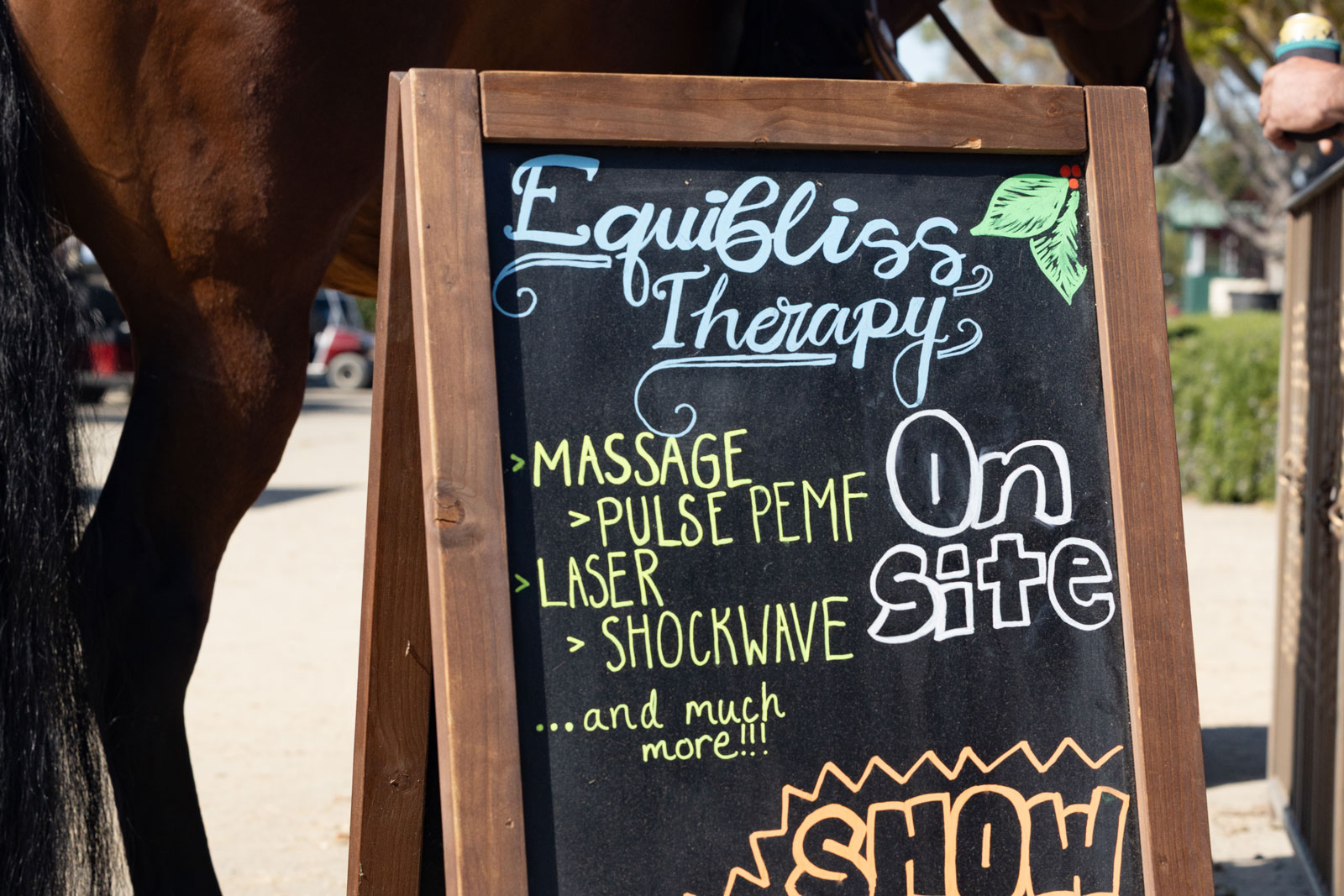 Equibliss Therapy sign at a horse show; Photo by Carolynne Smith