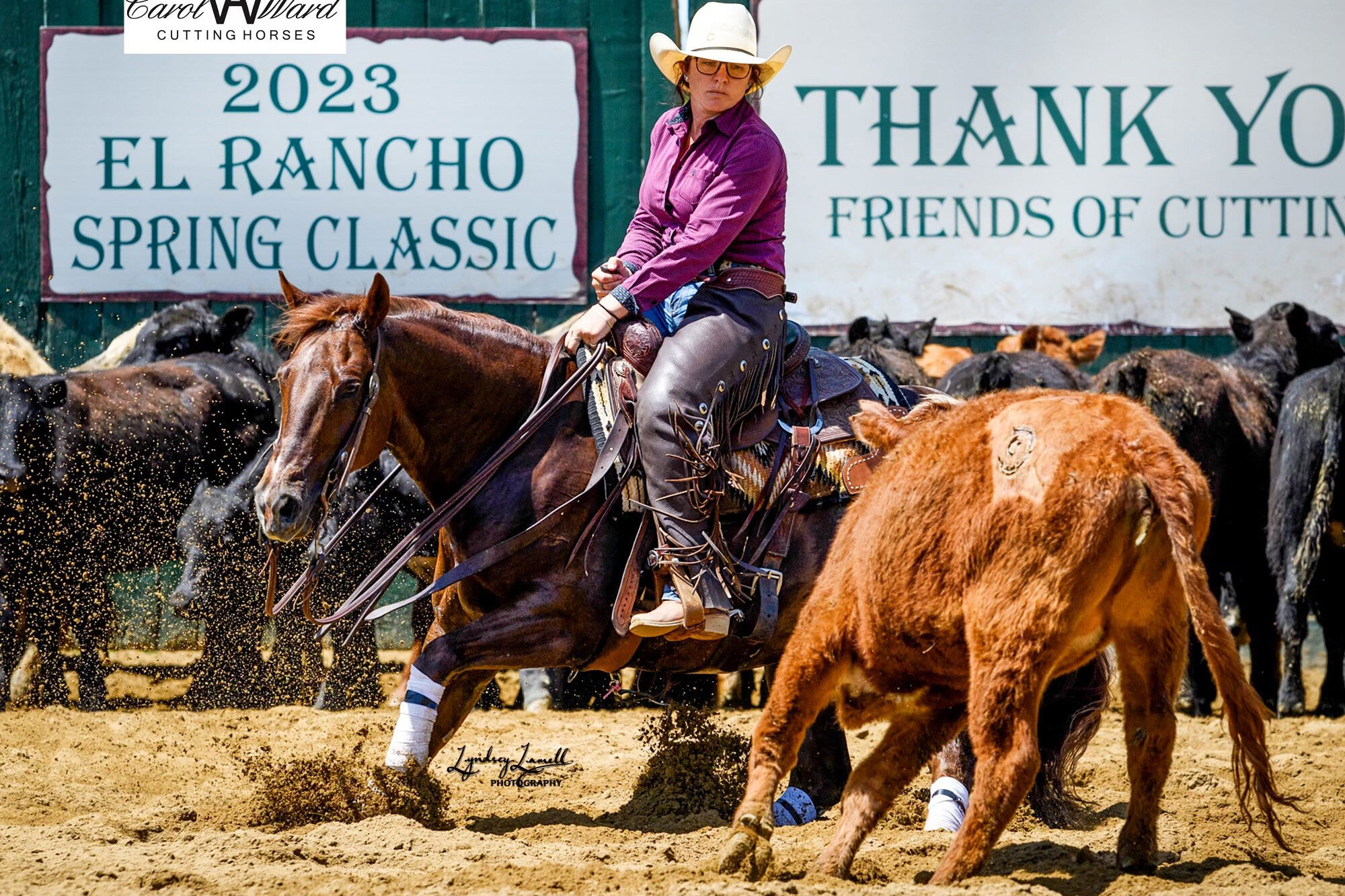Cutting rider on a chestnut horse performs in the Cutting Arena; Photo by Lyndsey Lamell Photogrpahy