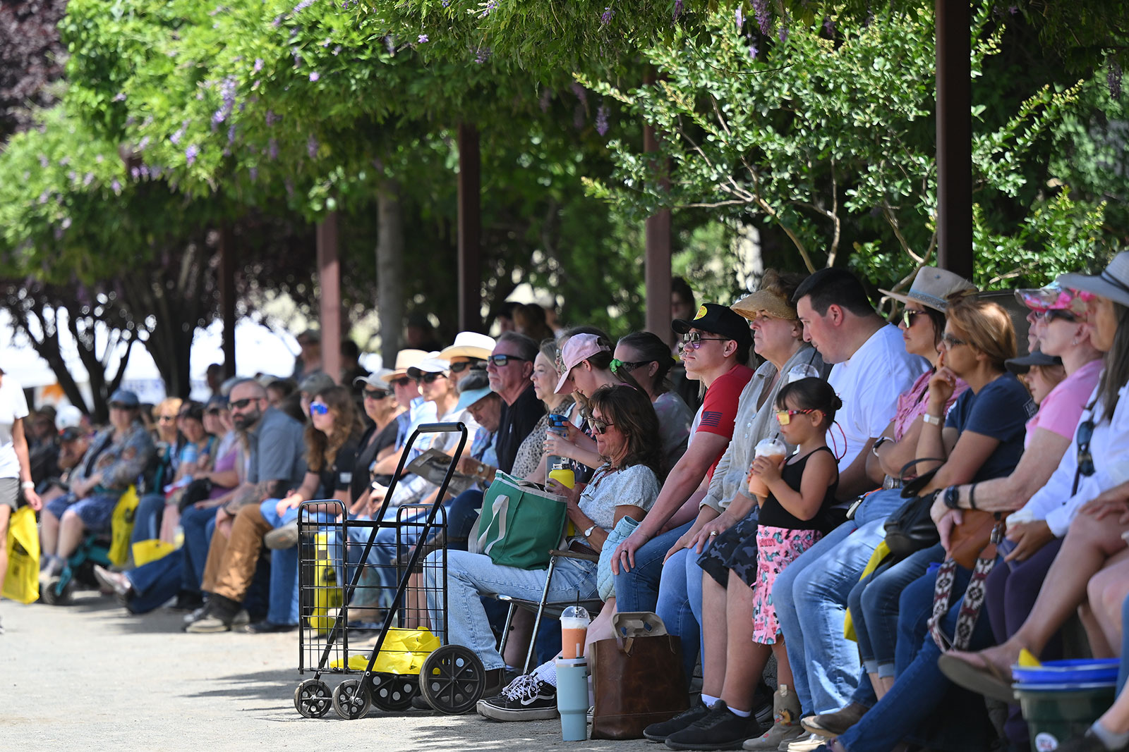 Spectators at the 2024 Western States Horse Show; Photo by Artistic Equine Studios