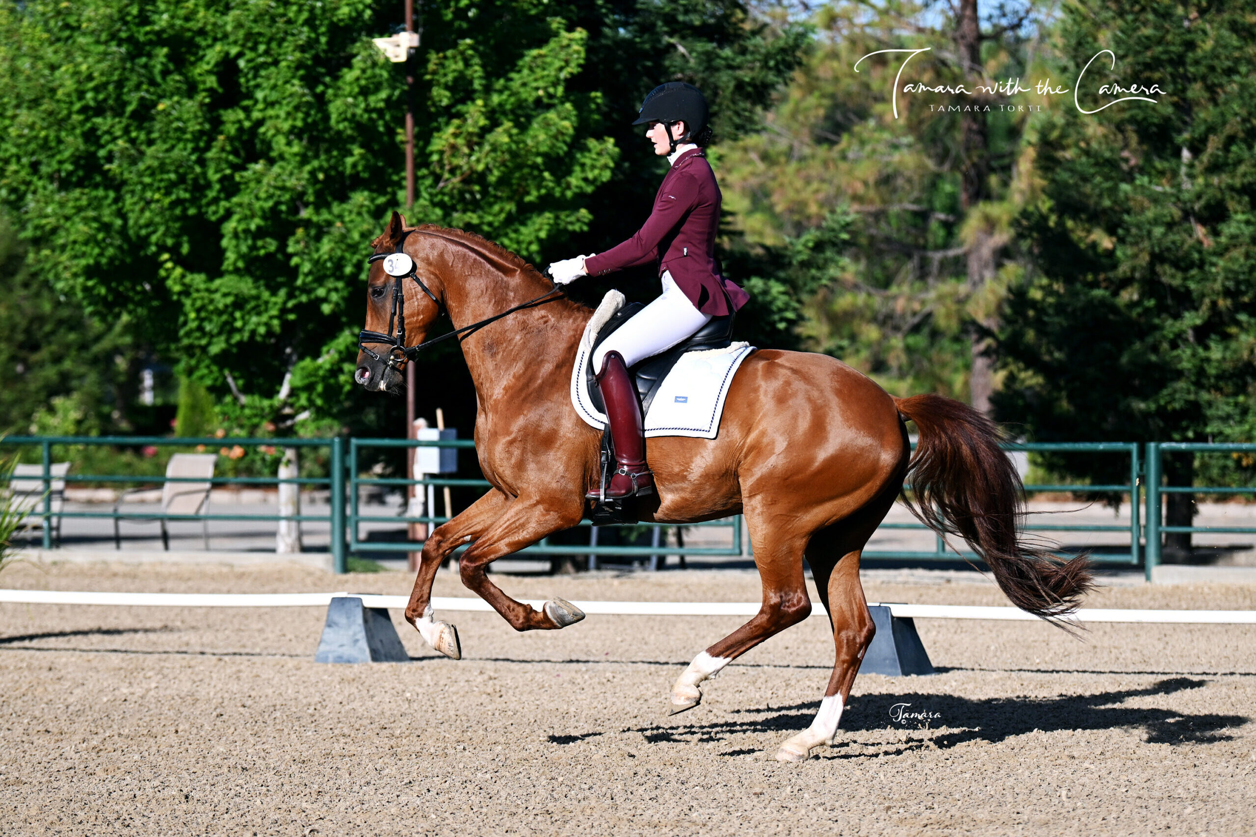 Dressage rider competes on a chestnut horse; Photo by Tamara with the Camera