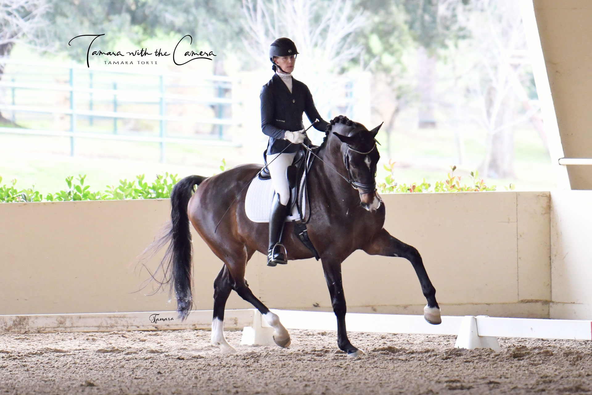 A dressage rider performs with a bay horse in the Old Indoor Arena; Photo by Tamara with the Camera