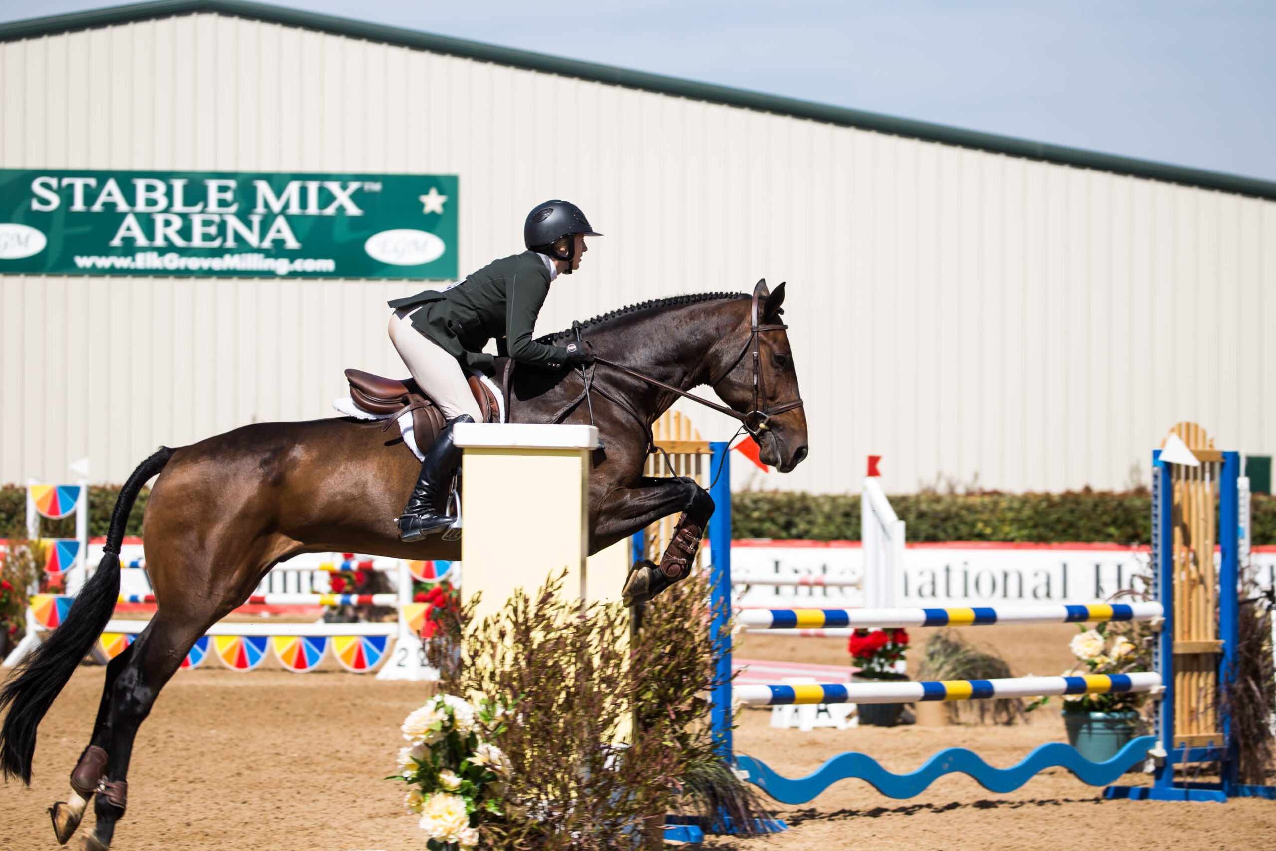 Hunter rider on course with her dark bay horse in front of the Stable Mix Arena