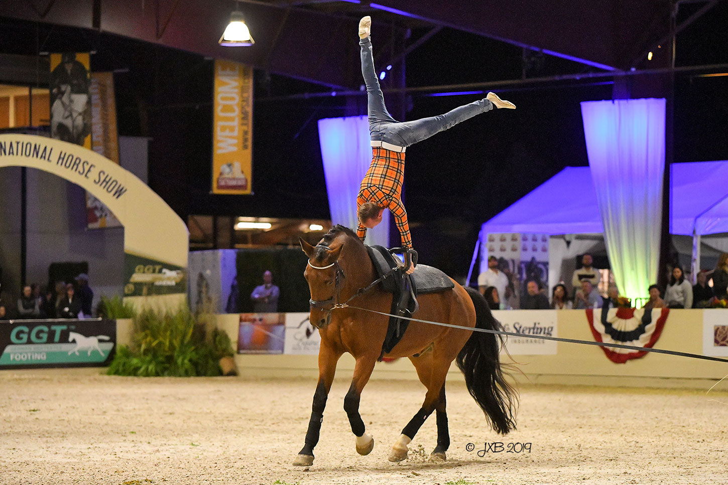 A vaulter performs on a bay horse; Photo by Julia B Photography