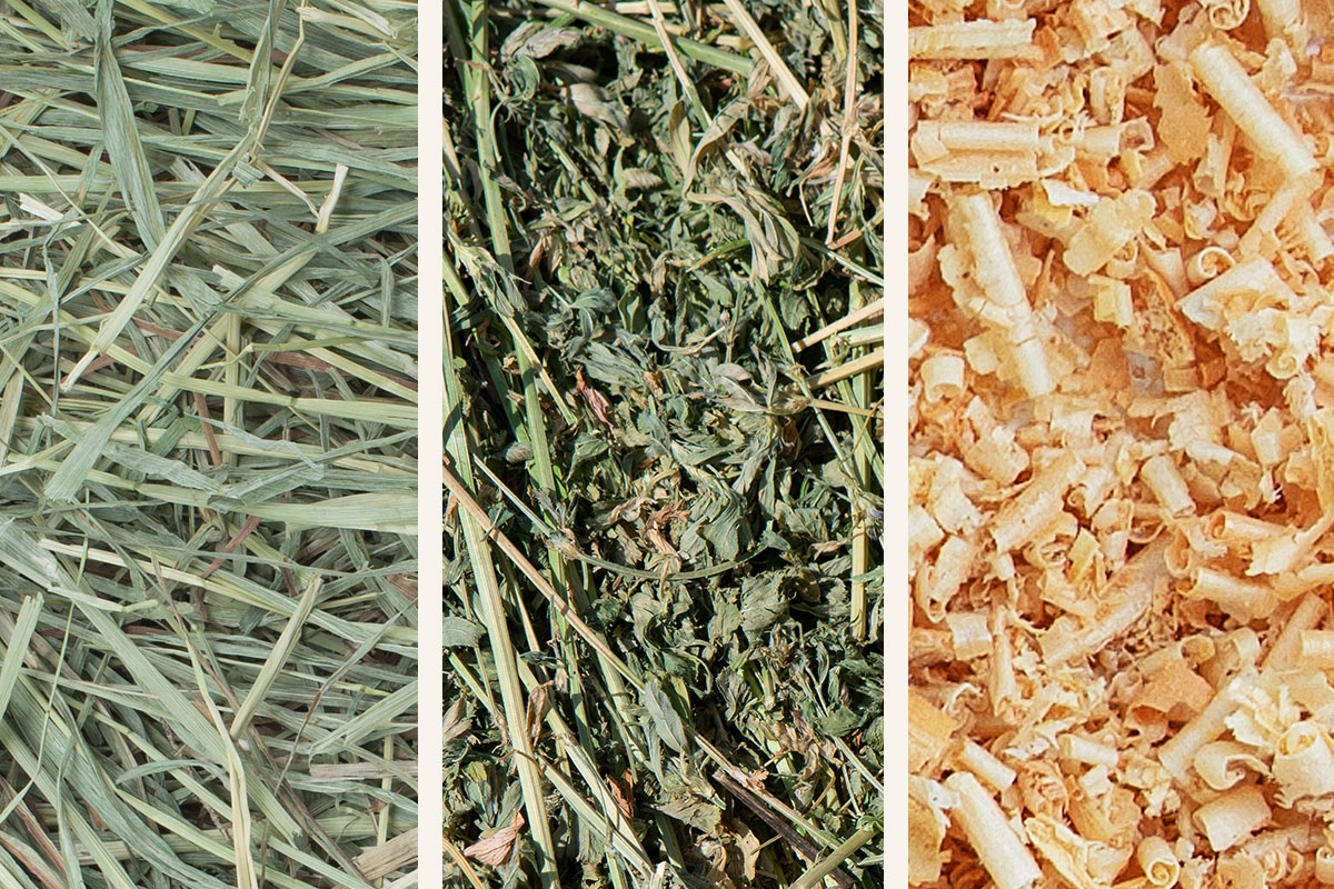 Hay & Shavings